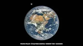 1. Young Pelik 