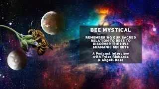 Bee Mystical, remembering our sacred relationship with bees to discover the hive&rsquo;s shamanic secrets