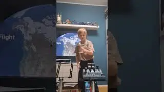 FLIGHT SIM