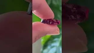 W7402-purple-garnet-color-shift-15.11-ct-rough-ravenstein