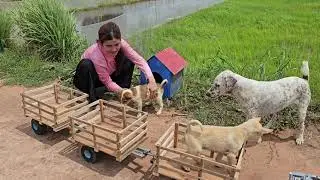 DIY Wooden Cart With Five Trailers To Pickup Farm Animals Dogs
