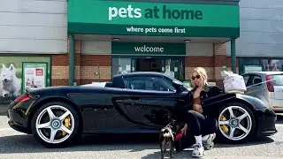 PORSCHE CARRERA GT TO THE PET SHOP WITH MY GIRLFRIEND!