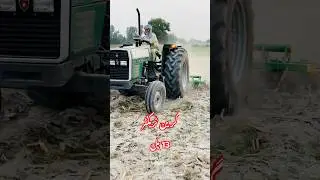 385 green tractor #shorts #mf385 #greentractor #narowaltractors