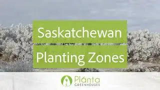 Saskatchewan Planting Zones - Planta Greenhouses