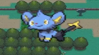 How to find Shinx in Pokemon Diamond and Pearl