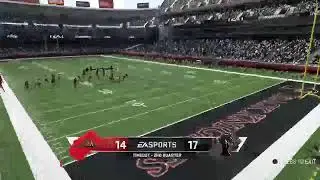 A playoff Berth is on the line:week 16 of the xfl season Austin Armadillos vs London black Knights