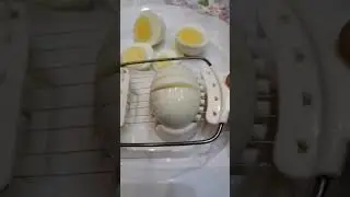 Cutting Egg using egg slicer #shorts #viral #egg #cutting