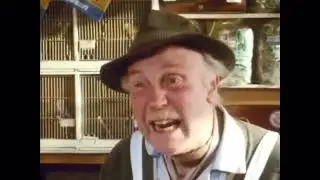 Only Fools and Horses | Yellow Canary!