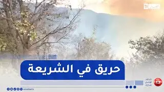 البليدة:  إندلاع حريق بمنطقة  بالشريعة و تسخير كافة الإمكانيات المادية و البشرية لإخماده