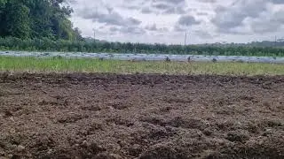 This One-Wheel Hoe Creates Perfect Planting Rows in Seconds! -Agriculture Farming