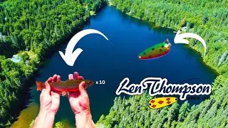 Wild Brook Trout Fishing in Crystal Clear Lake