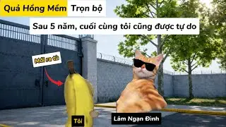 [Trọn bộ] Quả Hồng Mềm