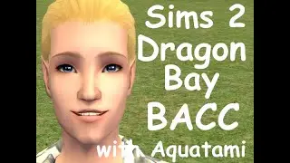 Sims 2 - BACC - Dragon Bay - W4P40 - REID