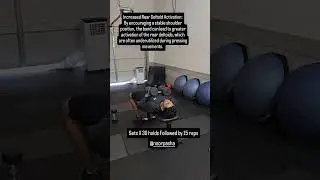 Rear deltoid activation | Coach Baso
