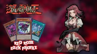 Yugioh *Incredible* Red Rose Runick deck profile - Fun way to play Runick?!