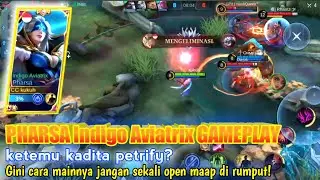 PHARSA Indigo Aviatrix GAMEPLAY | Ketemu kadita petrify, gini cara mainnya jangan deket2 rumput!