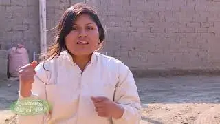 Día Nacional del Apicultor Peruano