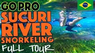 GOPRO SUCURI RIVER SNORKELING TOUR #bonito #sucuri #gopro