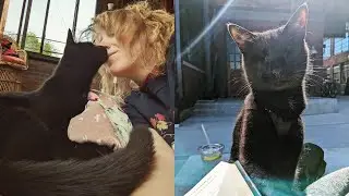 Blind Adventure Cat Is Local Celebrity 🤩