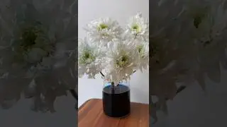 The Color Changing Flower Experiment #shorts