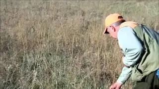 Primitive Supply Tribal Hunt