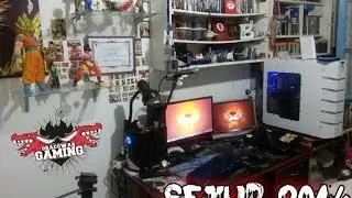 Gaming Setup 2014 Dracowar