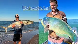 Australia&rsquo;s best coast for fishing 2022!