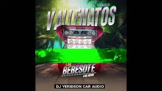 🔰🔊VALLENATO MIX⚡THE BEBESOTE CAR AUDIO⚡DJ YERIDSON CAR AUDIO🔊🔰