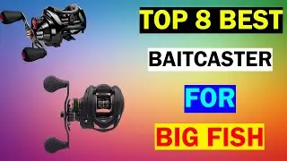 Top 8 Best Baitcaster For Big Fish.