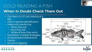 Fish Morphology & Ecology - 2025 FL SEE Webinar Series