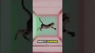 Animal Reaction in Zero Gravity!! 😱 #facts