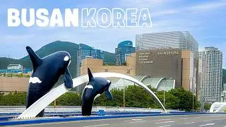 🇰🇷 Discover BUSAN &mdash; Korea&rsquo;s 2nd City