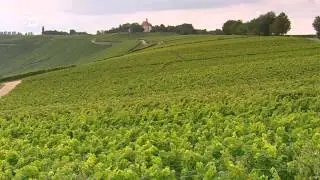 Wine-Producing Regions - Mosel, Pfalz and Franconia | Discover Germany