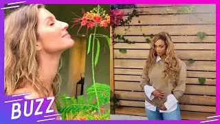 Ideas de las famosas para tener una decoraci&oacute;n &lsquo;eco friendly&rsquo; en el hogar | Buzz