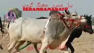 Dand aslam wijhe ala mela kcha khu