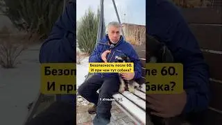 Безопасность после 60. И при чем тут собака?
