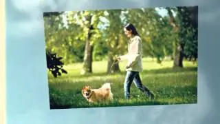 Dog Walking Las Vegas| 702-527-8070| 89160 Dog Walking| Daily Dog Walking| 89160| Clark County NV