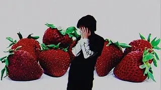 Lil Annex - MOLD (Official Music Video)