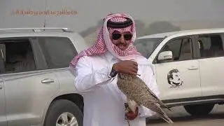 ياسعود