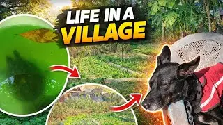 Winter Wonder: A Heartwarming Vlog of Village Life with My Dog & Turtle Adventures in Farming