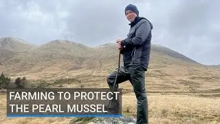 Eighth-generation Mayo farmer fights for pearl mussel