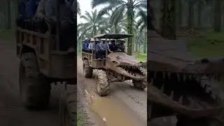 tracktor angkut sawit dan transportasi karyawan #perkebunankelapasawit #aivideo
