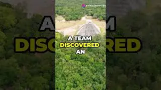 Amazon Forest Nature Travel Tech News #shorts #travel #short #news #trending #shortvideo #viral