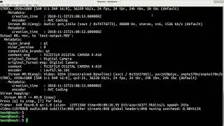 How to remove audio from video using avconv/ffmpeg in Linux