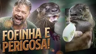 LONTRA, COME AT&Eacute; JACAR&Eacute;! | RICHARD RASMUSSEN