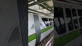 Walt Disney World Monorail #magickingdom #monorail #disney