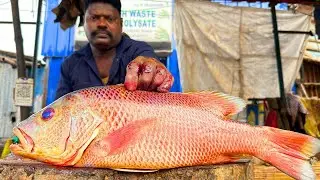 KASIMEDU SELVAM RED SNAPPER FISH CUTTING | UK SONS MARINE 🇮🇳