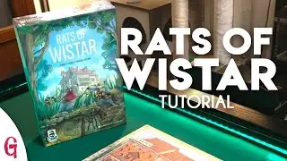 Ratti di Wistar: il GIOCO IN SCATOLA dei topini intelligenti che conquistano 