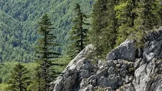 Rumunia - G&oacute;ry Zachodniorumuńskie (Munţii Apuseni) - wiosna 2018