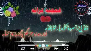 وفا یی راسرہ ونکڑہ یار شو بوفاء||پیج سسکرائب کڑی شاہستہ ترانوں دپارہ ♥️